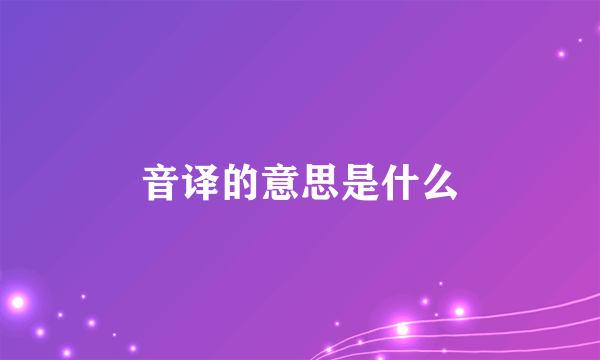 音译的意思是什么