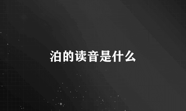 泊的读音是什么