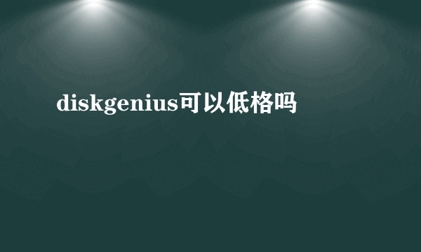 diskgenius可以低格吗