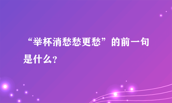 “举杯消愁愁更愁”的前一句是什么？