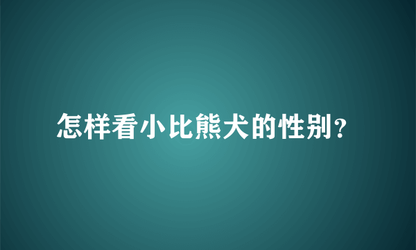 怎样看小比熊犬的性别？