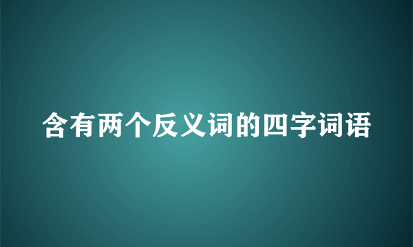 含有两个反义词的四字词语