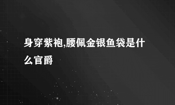 身穿紫袍,腰佩金银鱼袋是什么官爵