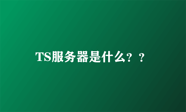 TS服务器是什么？？