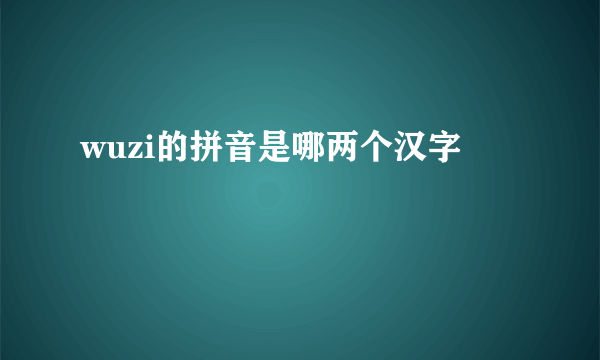 wuzi的拼音是哪两个汉字