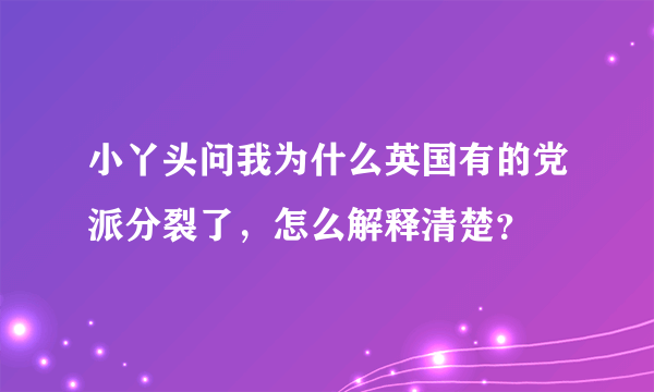 小丫头问我为什么英国有的党派分裂了，怎么解释清楚？