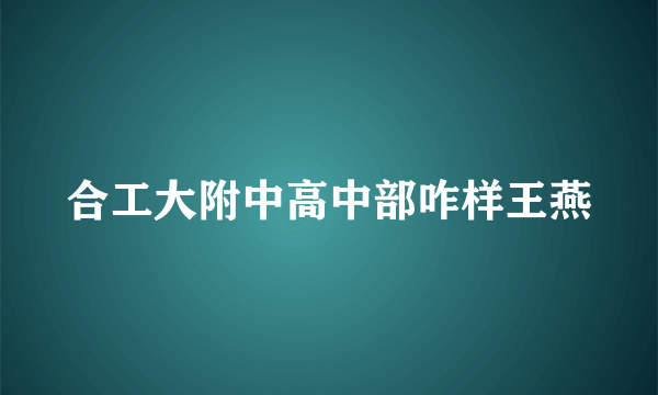 合工大附中高中部咋样王燕