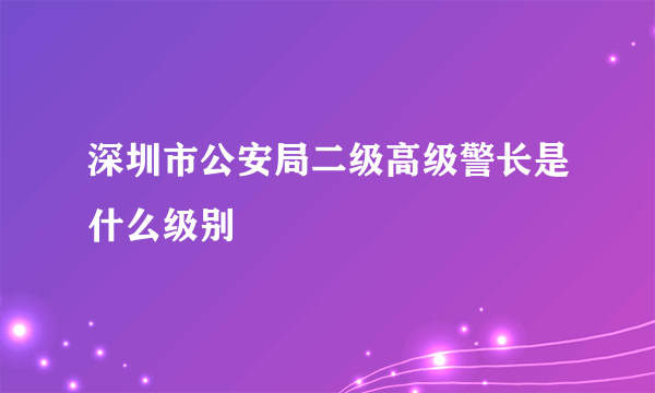 深圳市公安局二级高级警长是什么级别