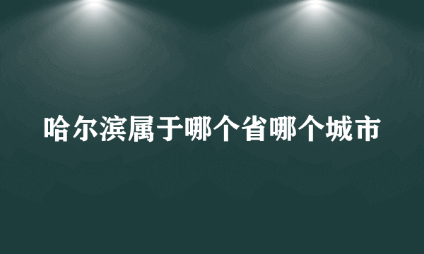 哈尔滨属于哪个省哪个城市