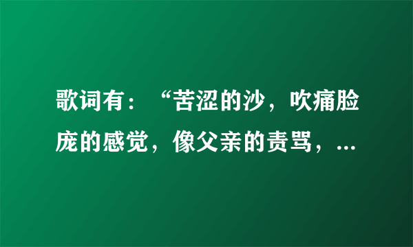 歌词有：“苦涩的沙，吹痛脸庞的感觉，像父亲的责骂，母亲的哭泣……”歌曲名及原创作者是谁？