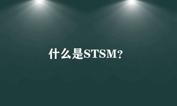 什么是STSM？