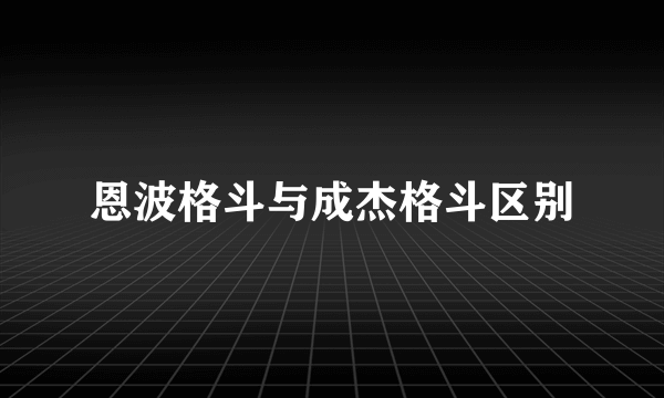 恩波格斗与成杰格斗区别