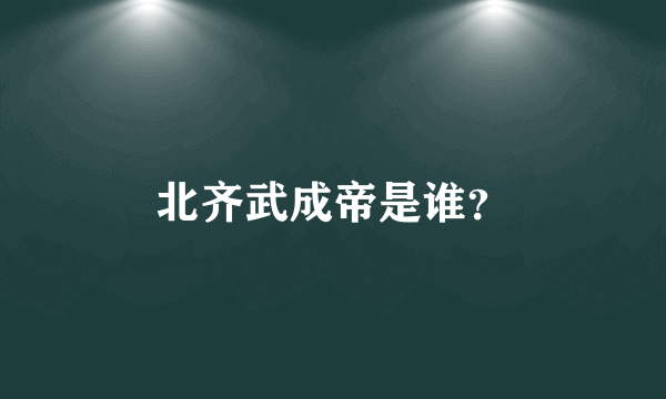 北齐武成帝是谁？