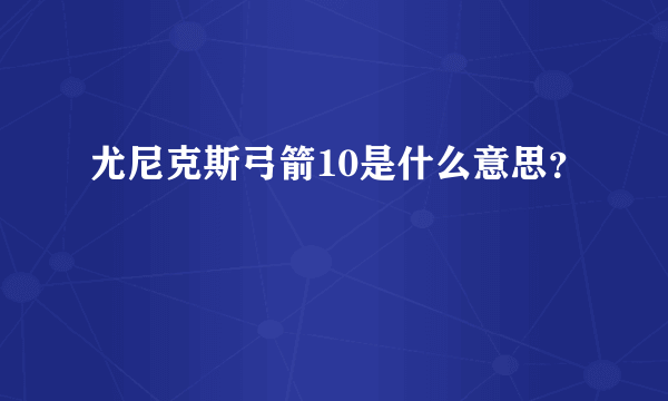 尤尼克斯弓箭10是什么意思？