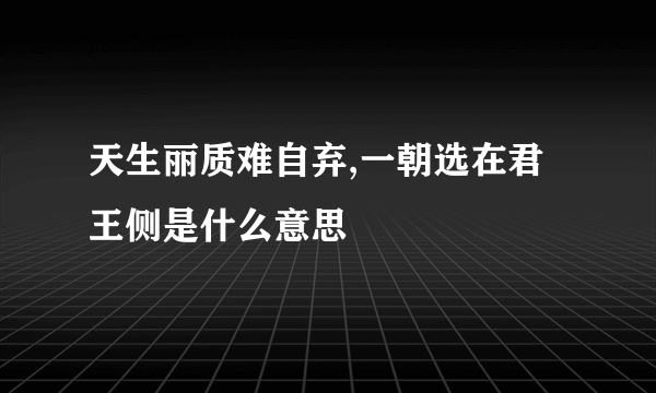 天生丽质难自弃,一朝选在君王侧是什么意思