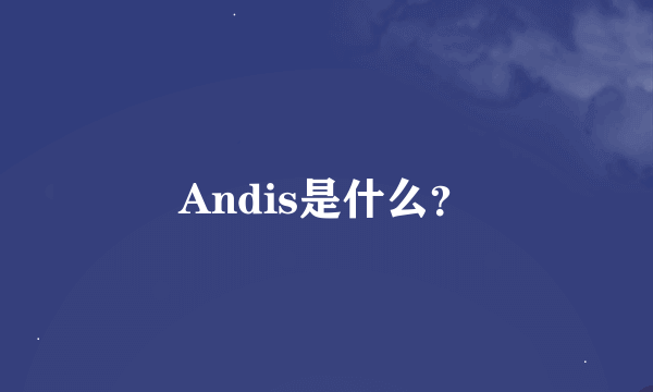 Andis是什么？