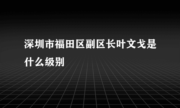 深圳市福田区副区长叶文戈是什么级别