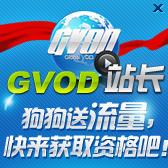 gvod是是什么???