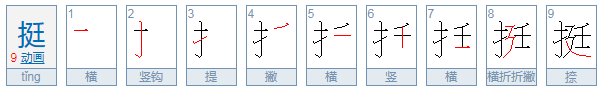 挺的拼音是什么