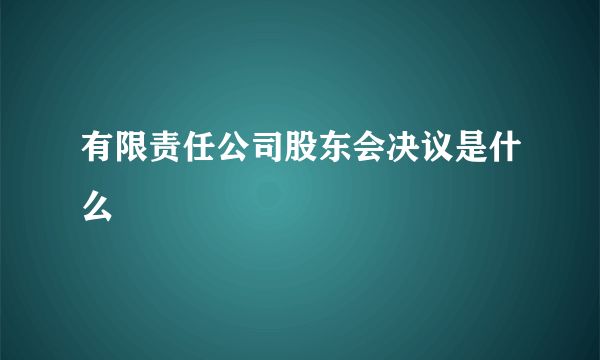 有限责任公司股东会决议是什么