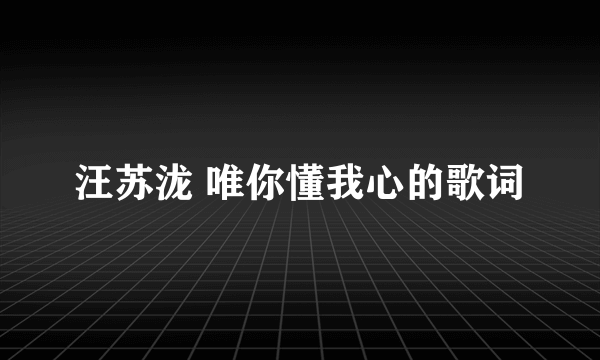 汪苏泷 唯你懂我心的歌词