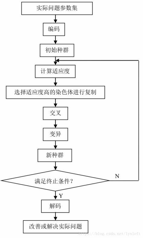 遗传算法的基本原理