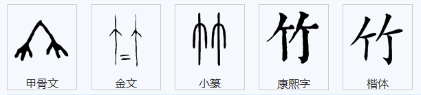 竹字笔画笔顺怎么写