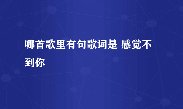 哪首歌里有句歌词是 感觉不到你