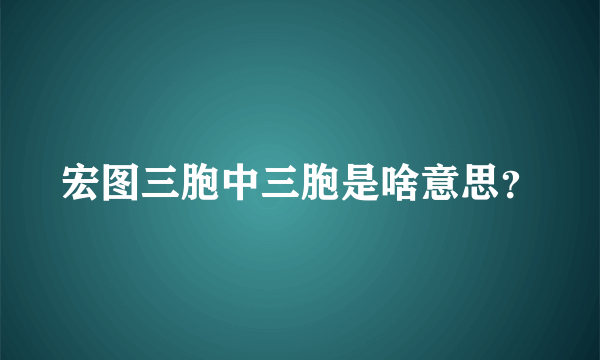 宏图三胞中三胞是啥意思？