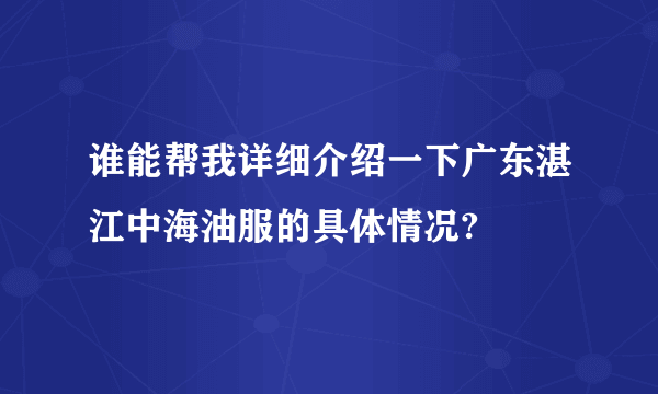 谁能帮我详细介绍一下广东湛江中海油服的具体情况?