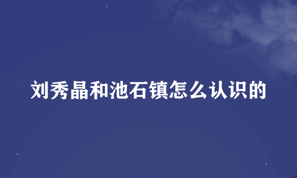 刘秀晶和池石镇怎么认识的