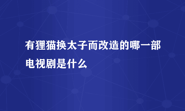 有狸猫换太子而改造的哪一部电视剧是什么