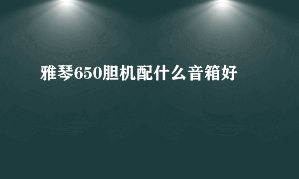 雅琴650胆机配什么音箱好