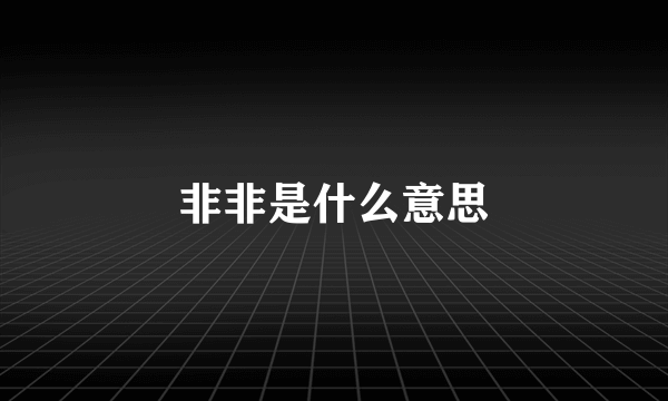 非非是什么意思