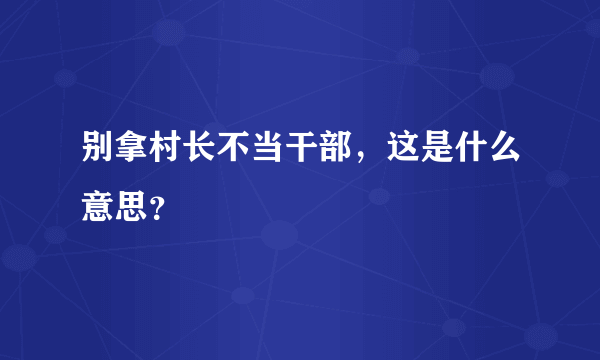 别拿村长不当干部，这是什么意思？