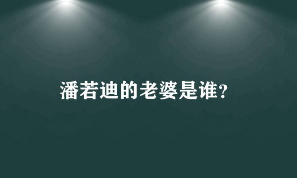 潘若迪的老婆是谁？