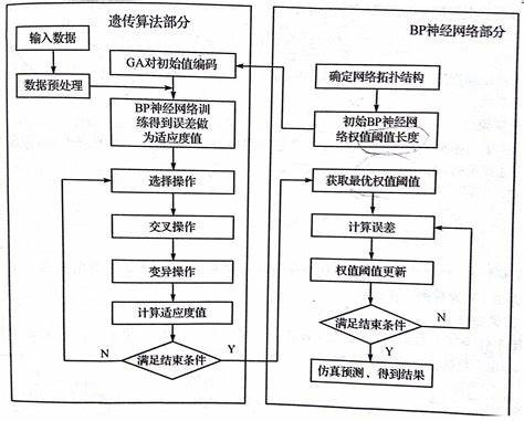 遗传算法的基本原理