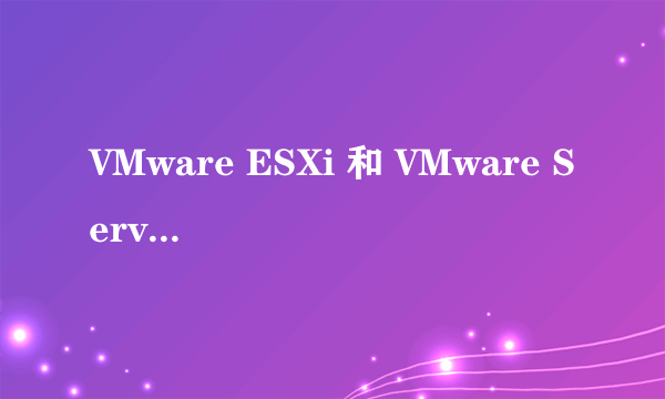 VMware ESXi 和 VMware Server 有什么区别？