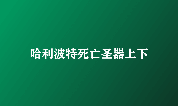 哈利波特死亡圣器上下