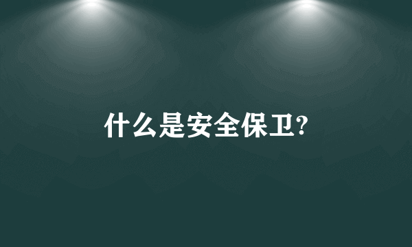 什么是安全保卫?