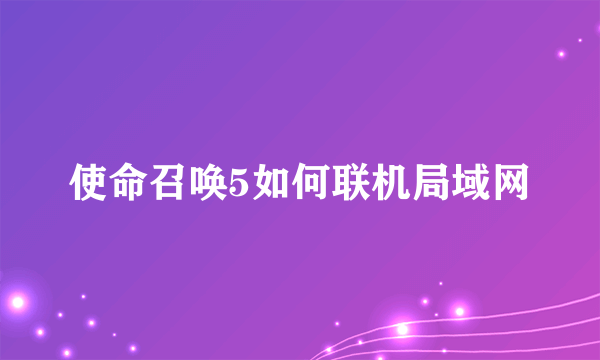 使命召唤5如何联机局域网