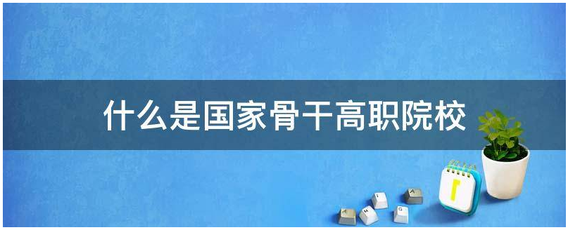 什么是国家骨干高职院校