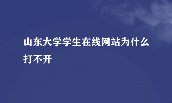 山东大学学生在线网站为什么打不开