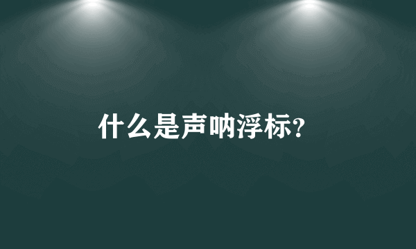 什么是声呐浮标？