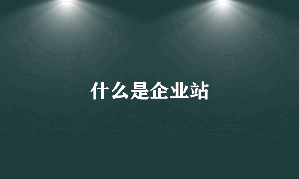 什么是企业站