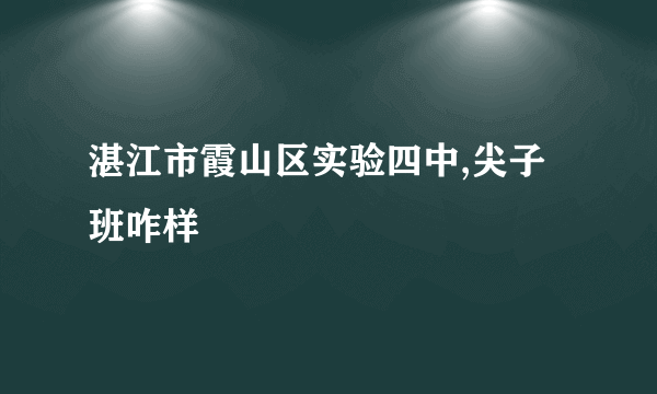 湛江市霞山区实验四中,尖子班咋样