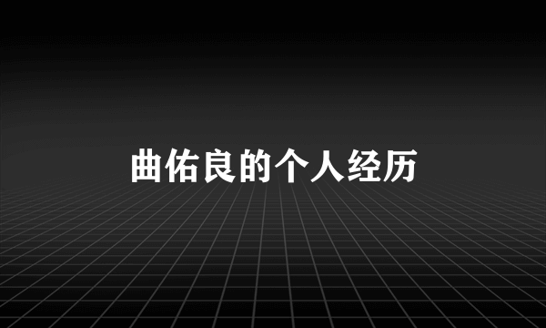 曲佑良的个人经历