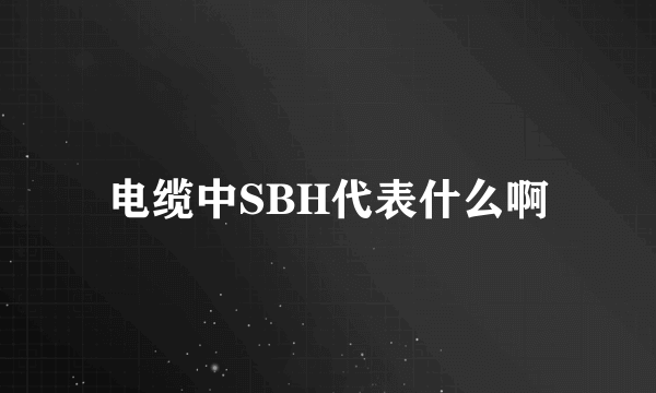 电缆中SBH代表什么啊