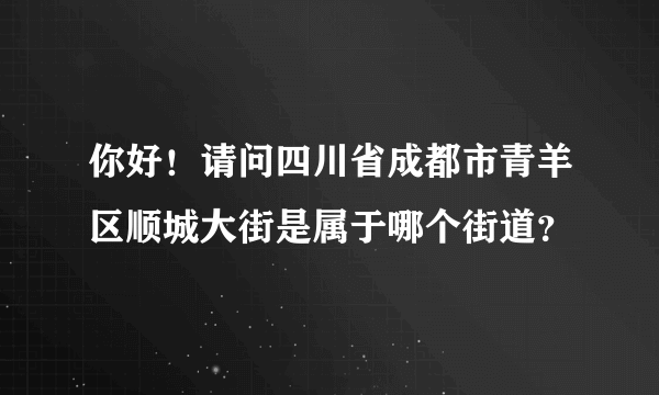 你好！请问四川省成都市青羊区顺城大街是属于哪个街道？