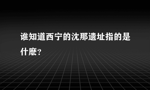 谁知道西宁的沈那遗址指的是什麽？